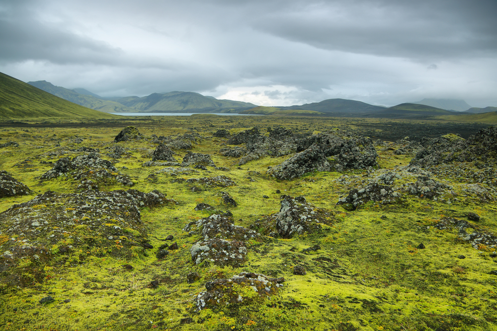 Viðistaðatúni — photo 4